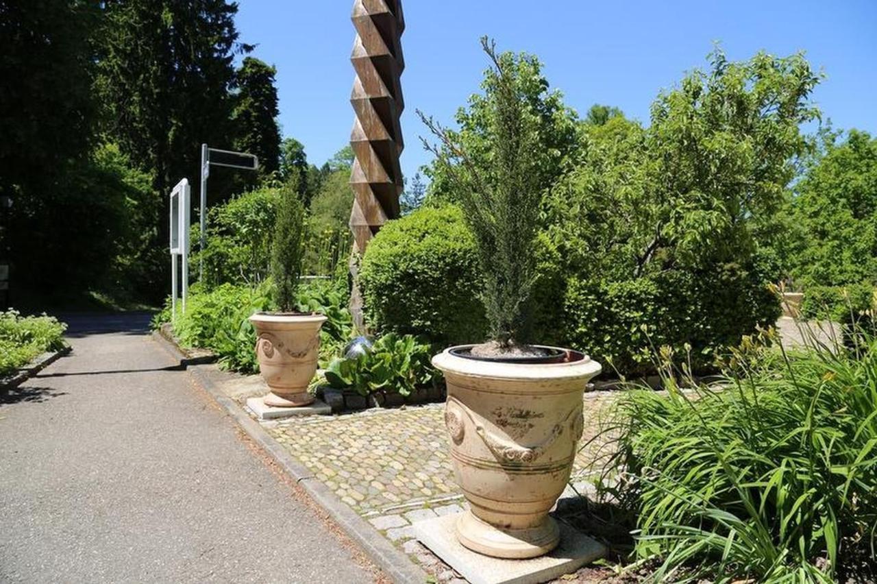 Villa Hedwig バーデンヴァイラー エクステリア 写真
