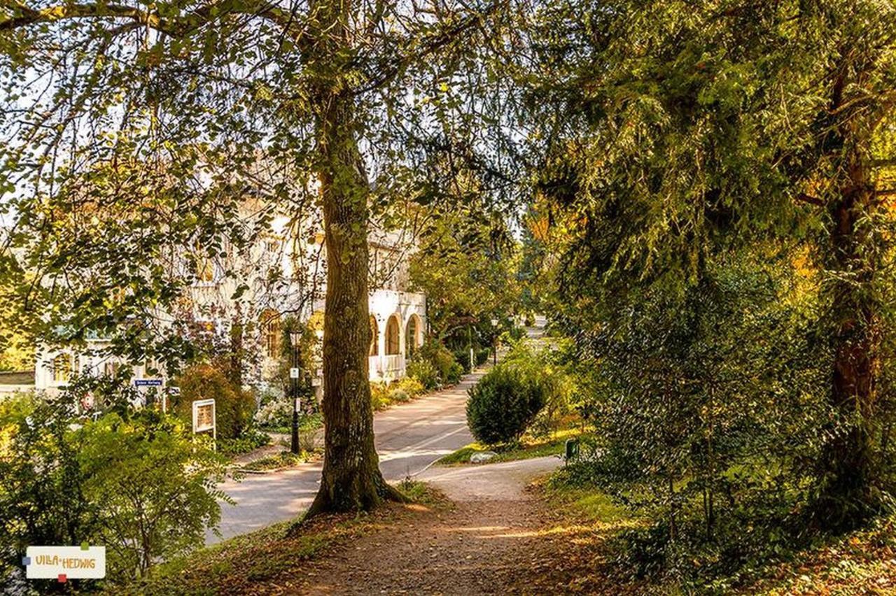 Villa Hedwig バーデンヴァイラー エクステリア 写真