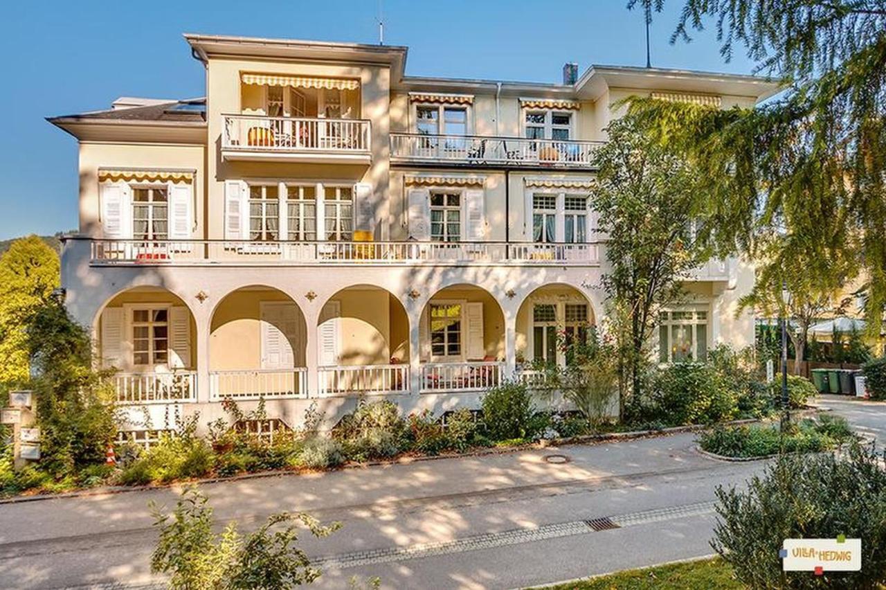Villa Hedwig バーデンヴァイラー エクステリア 写真