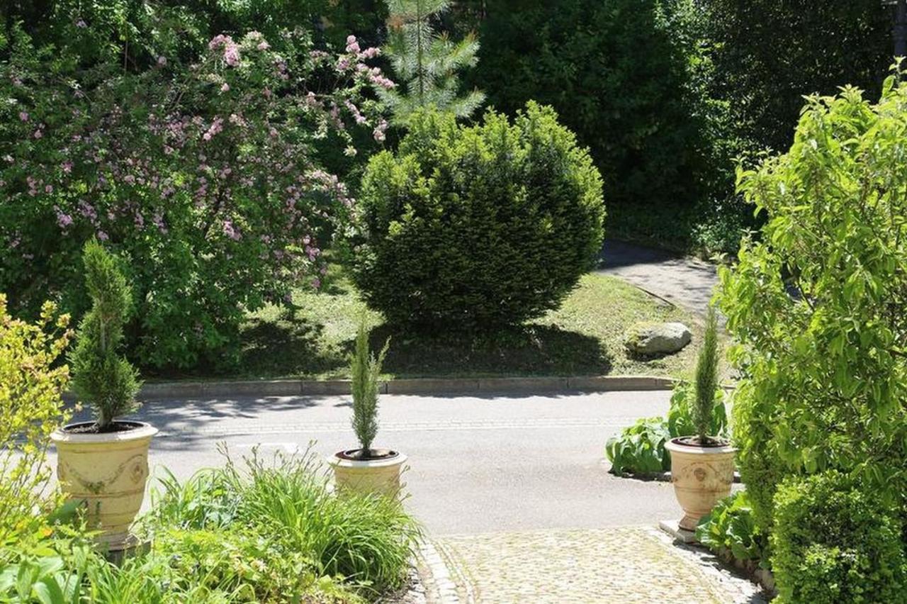 Villa Hedwig バーデンヴァイラー エクステリア 写真