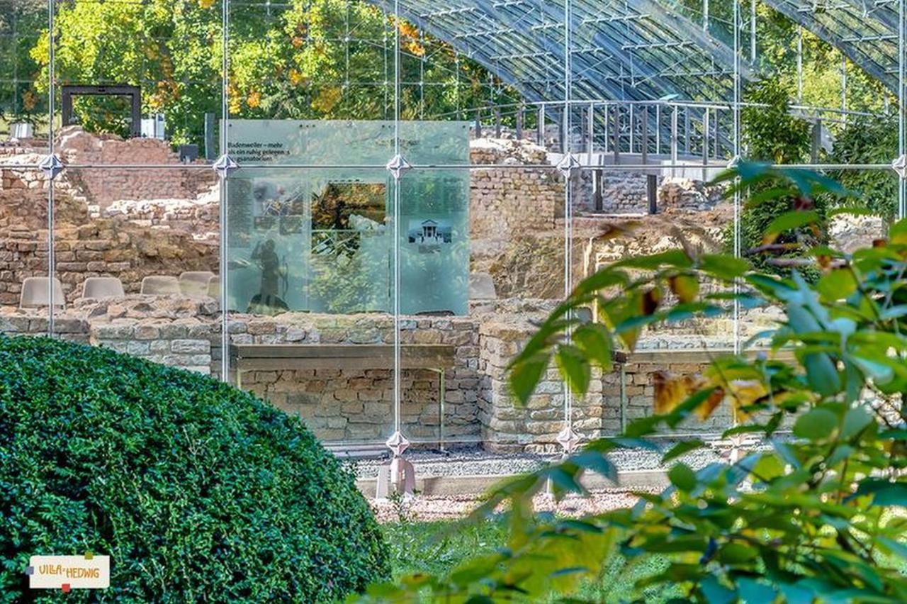Villa Hedwig バーデンヴァイラー エクステリア 写真